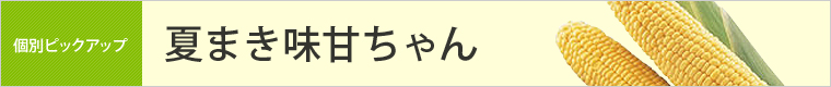 夏まき味甘(みかん)ちゃん