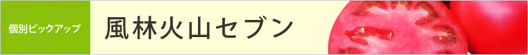 風林火山セブン