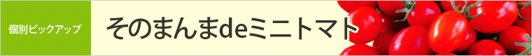 そのまんまdeミニトマト