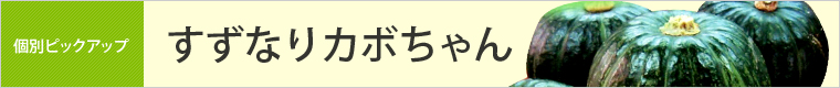 すずなりカボちゃん