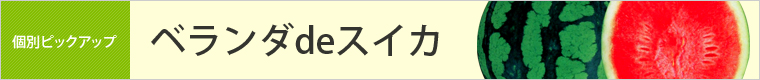 ベランダ de　スイカ