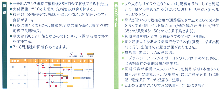 おおもの