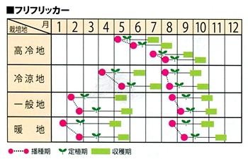 かおるだま