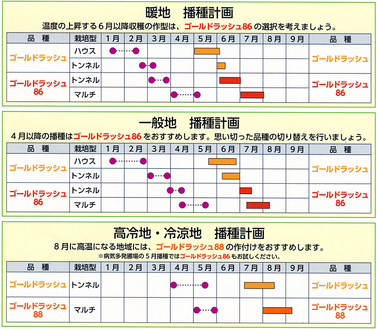 ゴールドラッシュ