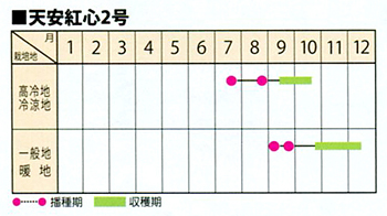 天安紅心2号