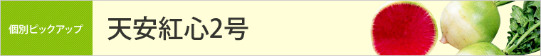 天安紅心2号