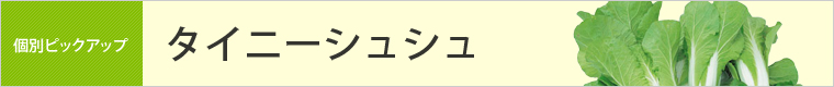 タイニーシュシュ