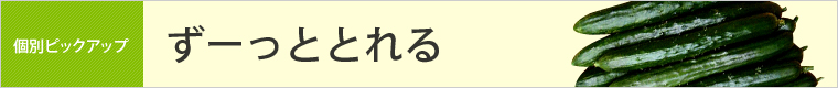 ずーっととれる