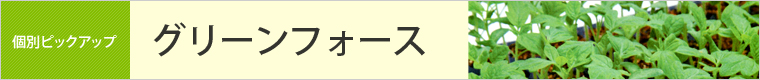 グリーンフォース