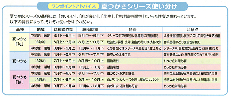 夏つかさシリーズ