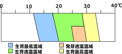 カボチャ生育温度表