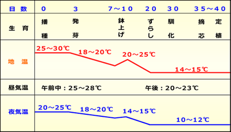 育苗温度管理表