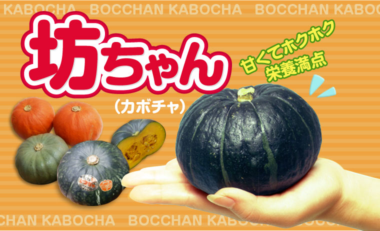 かぼちゃ の 栽培 方法