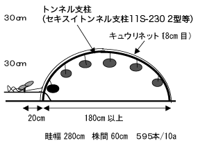 トンネル支柱ネット栽培