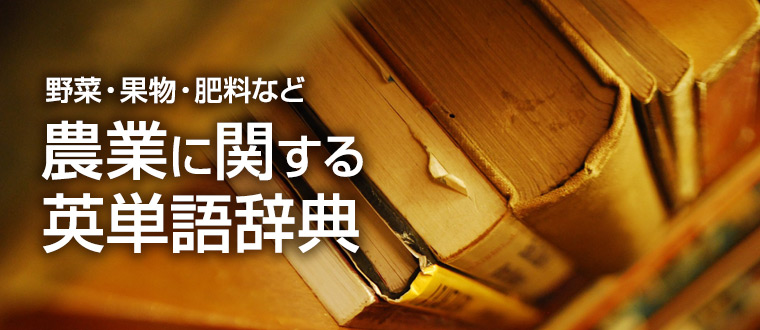 農業 野菜 果物 の英語での名前一覧 E 種や 野菜種 花種と苗の三重興農社