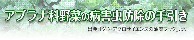 アブラナ科野菜の病害虫防除の手引き