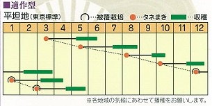 適作型