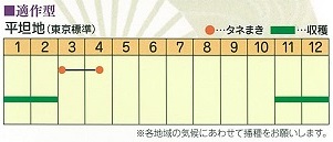 適作型