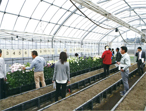 ドレンベッド栽培温室の視察