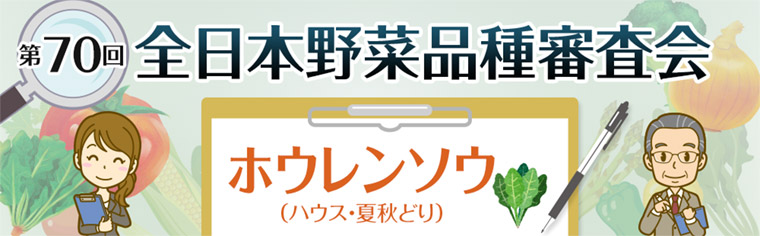 第70回 全日本野菜品種審査会 ホウレンソウ