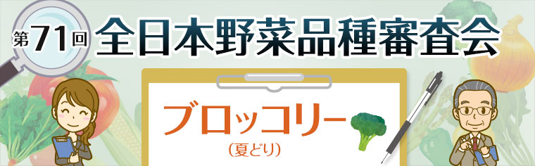 第71回 全日本野菜品種審査会 ブロッコリー 第71回 全日本野菜品種審査会 ブロッコリー