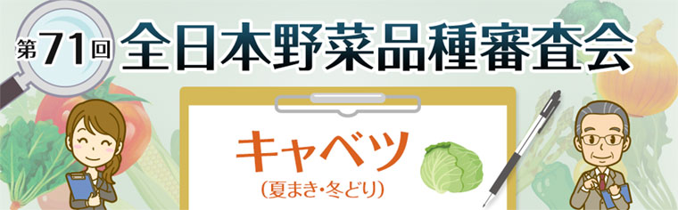 第71回 全日本野菜品種審査会 キャベツ 第71回 全日本野菜品種審査会 キャベツ