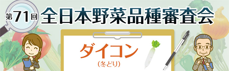 第71回 全日本野菜品種審査会 ダイコン