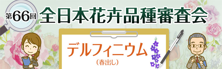 第66回 全日本花卉品種審査会 デルフィニウム