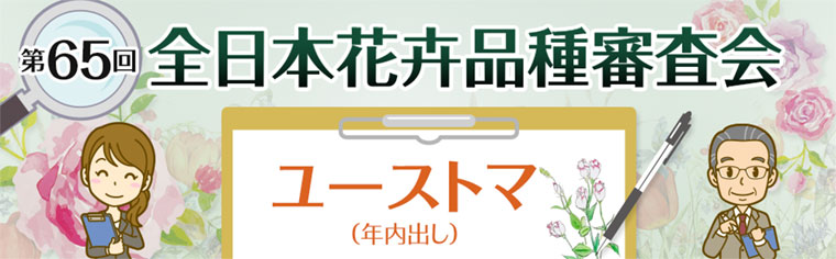 第65回 全日本花卉品種審査会 ユーストマ 第65回 全日本花卉品種審査会 ユーストマ