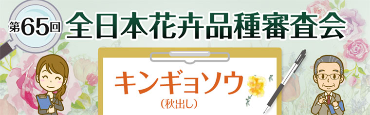 第65回 全日本花き品種審査会 キンギョソウ