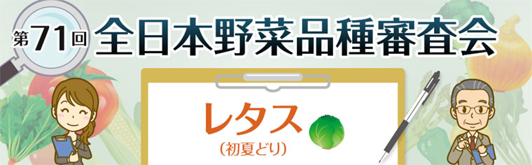 第71回 全日本野菜品種審査会 レタス 第71回 全日本野菜品種審査会 レタス