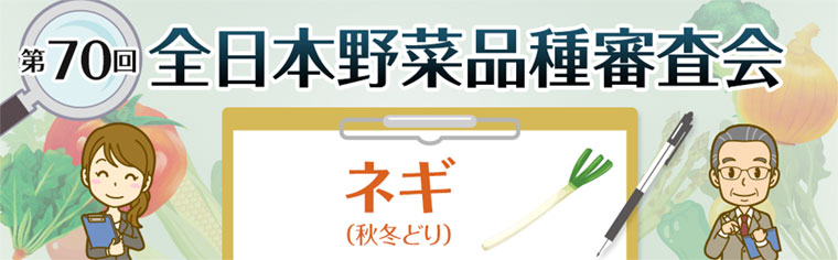 第70回 全日本野菜品種審査会 ネギ 第70回 全日本野菜品種審査会 ネギ