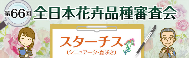 第66回 全日本花卉品種審査会 スターチス