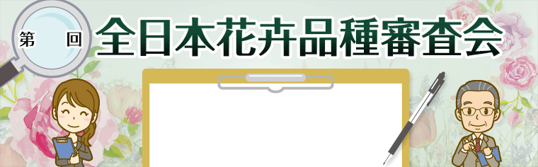 全日本花卉品種審査会 スターチス（シニュアータ）