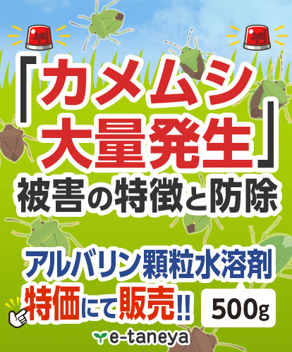 「カメムシ大量発生」被害の特徴と防除