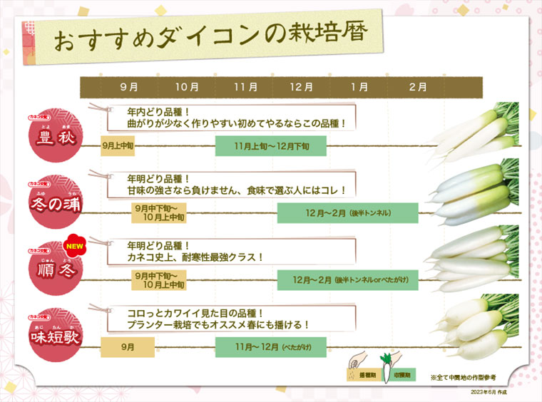 おすすめダイコンの栽培暦