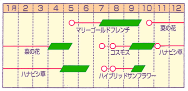 播種表