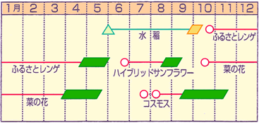 播種表