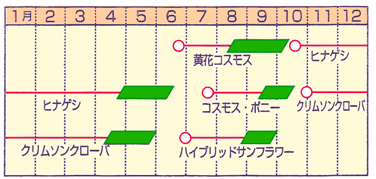 播種表