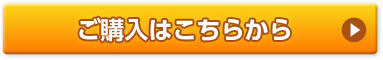 ご購入はこちら