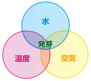 図1.発芽に必要な3要素