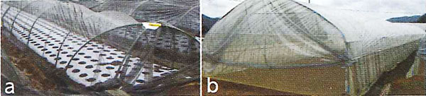 図5.a·b.遮光資材を活用した温度対策