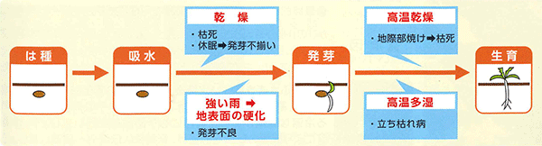 図5.a·b.遮光資材を活用した温度対策