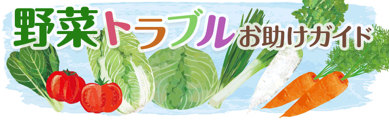 野菜お助けガイド 野菜お助けガイド