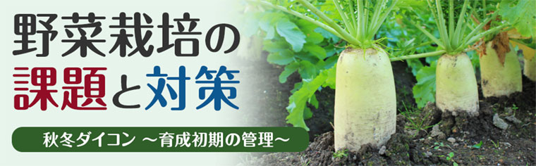 野菜お助けガイド 野菜お助けガイド