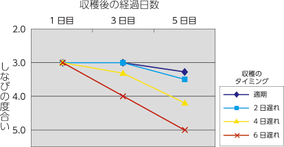 熟度と日もちの関係