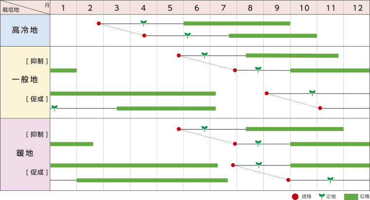 作型図