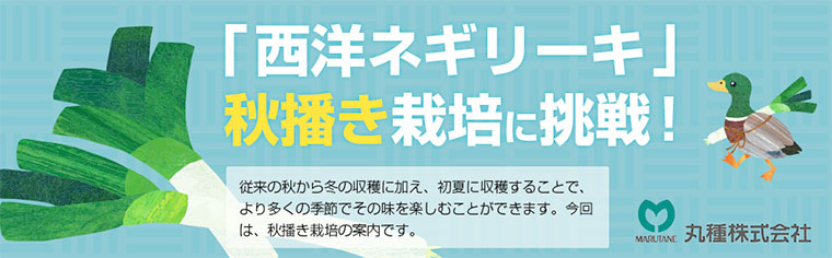 「西洋ネギリーキ」秋播き栽培に挑戦︕