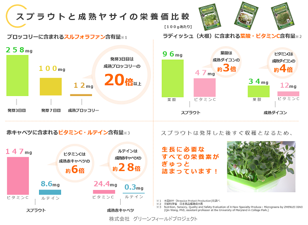 スプラウトと成熟ヤサイの栄養比較