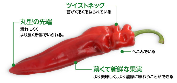 スイートパレルモの見分け方